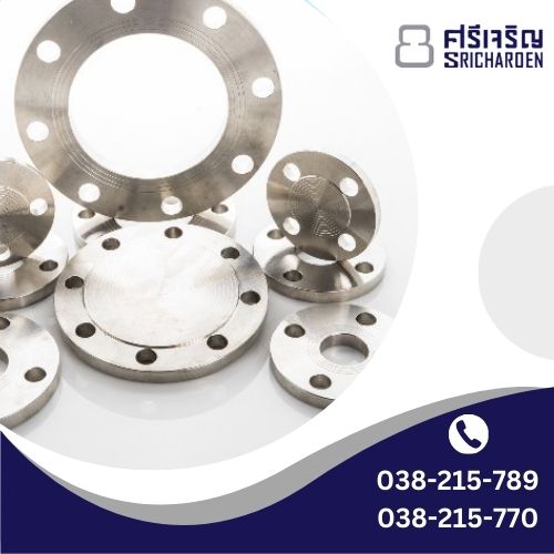 อุปกรณ์หน้าแปลนสแตนเลส